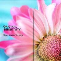 Apsauginis stiklas 2,5D Premium Realme C71 4G (global)