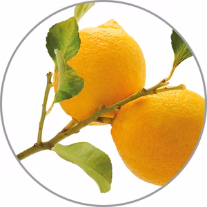 Medisana aromatinė esencija Citrina