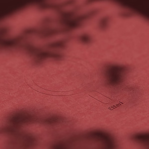 "Etteri" silikoninis magnetinis dėklas "iPhone 16 Plus" 6,7" avietinis