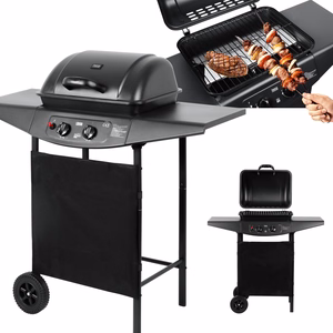 Teesa BBQ 2000 gas grill, 2 burners