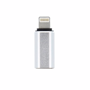 Adapteris Type C (moteriškas) į Lightning (vyriškas) sidabrinis