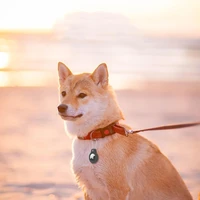 Tech-Protect Rough Vein rinkinys AirTag dėklas - juodas (m)