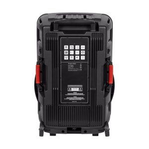 60 W aktyvioji kolonėlė su 2 belaidžiais UHF mikrofonais, SD, Bluetooth, FM, USB ir LED