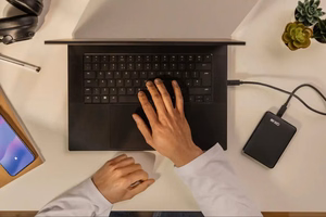 WD Elements Portable USB-C 1TB išorinis kietasis diskas, juodas