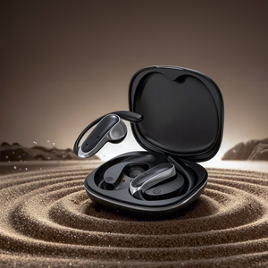 Dudao U17Z Bluetooth 5.3 OWS ausinės su ausų kabliukais - juodos