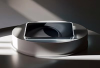 Clear Guard Magnetinis dėklas telefonui IPHONE 12 6,1" skaidrus