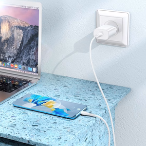 Įkroviklis Hoco N22 25W USB-C + USB-C to USB-C cable 1.0m baltas