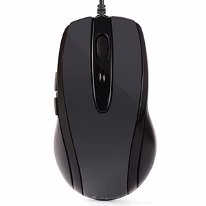 A4Tech N-708X pelė USB Type-A optinė 1600 DPI dešiniarankė