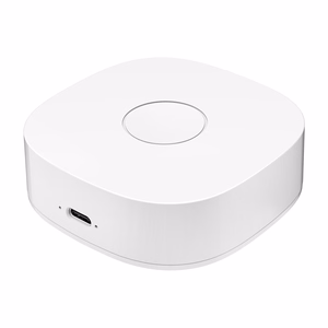 Išmanusis namas WS2GW-R WiFi