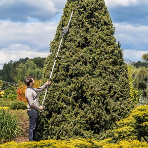 Rebel 2-in-1 cordless telescopic hedge trimmer and saw