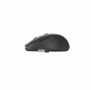 Gembird MUSW-6B-01 biuro pelė dešinei rankai RF belaidė optinė 1600 DPI