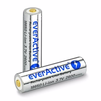 Akumuliatorius everActive 18650 3,7 V ličio jonų 2600 mAh micro USB su apsaugine dėžute