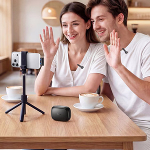 Belaidis prisegamas mikrofonas Hoco L27, USB C, juodas