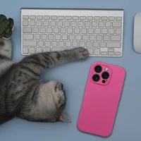 Silikoninis 2mm dėklas telefonui IPHONE 17 Air, suderinamas su Magnetine MagSafe funkcija, rožinis