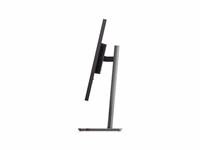 Lenovo ThinkVision P32UD-40 31.5" UHD monitorius