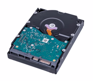 Western Digital Gold WD8005FRYZ vidinis kietasis diskas 3.5" 8 TB „Serial ATA III“