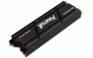 Kingston Technology 2000G RENEGADE PCIe 4.0 NVMe SSD su radiatoriu