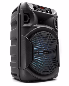 SQUEAK KARAOKĖS GARSIAKALBIS PULSETOWER BT 5.3 + EDR SQ1006