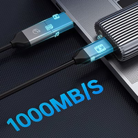 Orico AM2C3-G2 M.2 NVME USB-C 3.2 disku irenginys - pilkas