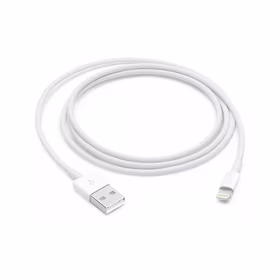 APPLE laidas USB MD818ZM / A IPHONE LIGHTING 8-PIN 1M baltas be dėžutės be krašto