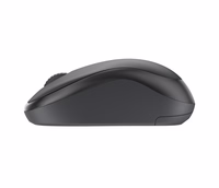Logitech 910-007119 kompiuterio pelė Kelioninis Abiems rankoms „Bluetooth“