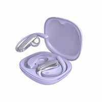 Dudao U17Z Bluetooth 5.3 OWS ausinės with Ear Hooks - violetinis