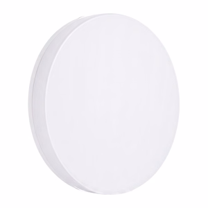 Smart Ceiling Lights