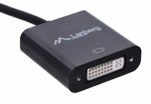 Lanberg AD-0007-BK vaizdo laido adapteris 0,1 m DisplayPort DVI-D juodas