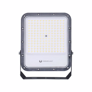 LED prožektorius PROXIM+ 100W 6500K 15000lm 230V IP65 Forever Light 150lm/W, 5 metų garantija