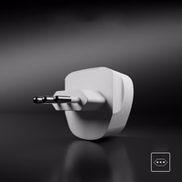 Adapteris iš IT sieninio kištuko į universalų kištuką