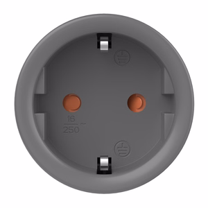Sonoff S60TPF WiFi išmanioji lizdas (2 vnt.)