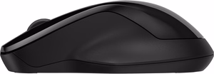 HP 250 Dual pelė