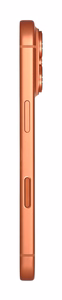 Apple iPhone 17 Pro Max 17,5 cm (6.9") Dviguba SIM jungtis iOS 26 5G C tipo USB 1 TB Oranžinė
