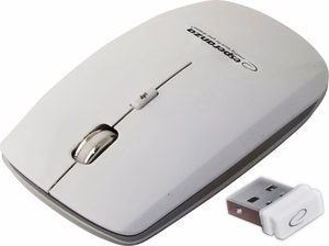 Esperanza EM120W mouse RF Wireless Optical 2400 DPI