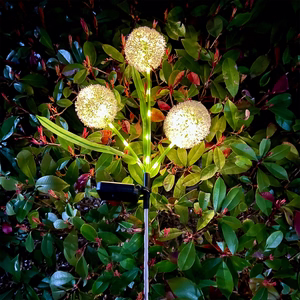 Rebel decorative solar garden lights, ornamental allium