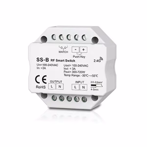 SS-B vieno kanalo 230V valdiklis be pritemdymo funkcijos + Push Key
