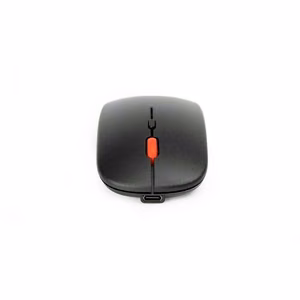 Pelė OMEGA OM301 belaidė (ĮKRAUNAMA USB-C), juoda