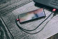 Kabelis USB-A į Lightning MFI 350 mm PGYTECH (P-GM-115)