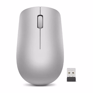 Lenovo 530 belaidė pelė Platinum Grey