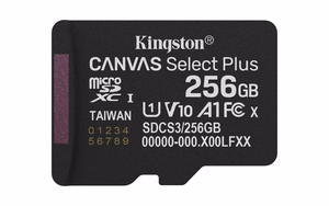 Kingston Technology Canvas Select Plus Gen3 256 GB MicroSDXC UHS-I Klasės 10
