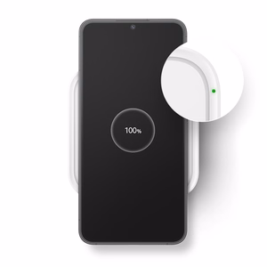 Samsung EP-P2400 Išmanusis telefonas USB Vidaus