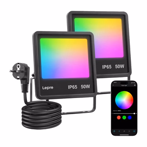 Lepro F1 50 W floodlight