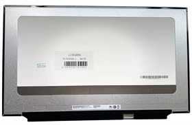 Ekranas 17.3", 1920x1080, 300Hz, matinis, 40pin, dešinėje, IPS