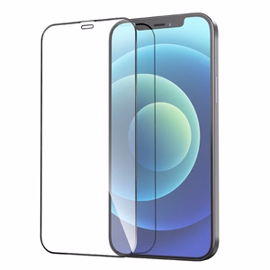 Закалённое стекло для iPhone 12 PRO MAX Hoco HD Anti-static 25 шт G10