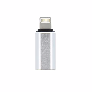 Adapteris Type C (moteriškas) į Lightning (vyriškas) sidabrinis