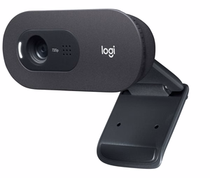 Logitech C505 internetinė kamera 1280 x 720 px USB juoda