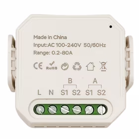 Išmanus energijos matuoklis, 2P, 80A, Wi-Fi, Tuya
