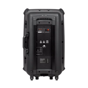 Aktyvi garso kolonėlė su 2 belaidžiais UHF mikrofonais, SD, Bluetooth, FM, USB, 60 W