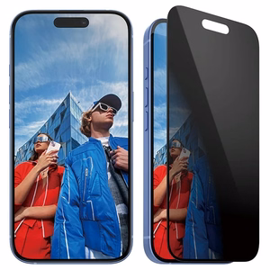PanzerGlass privatumo apsauginis stiklas iPhone 16 6.1" itin platus P2861