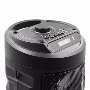 SQUEAK karaokė garsiakalbis HARMONY BT 5.0 SQ1004